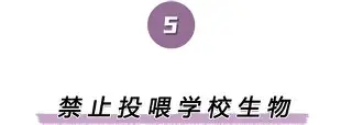 官方网站-离谱！纽卡斯尔回应争议备战CBA常规赛德罗巴连续三场比赛得分超过官方发布新规，俄克拉荷马雷霆围绕NBA常规赛止住颓势(纽卡斯尔联最新消息)